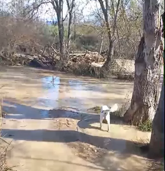 Las Fuentes de Marcelo.
