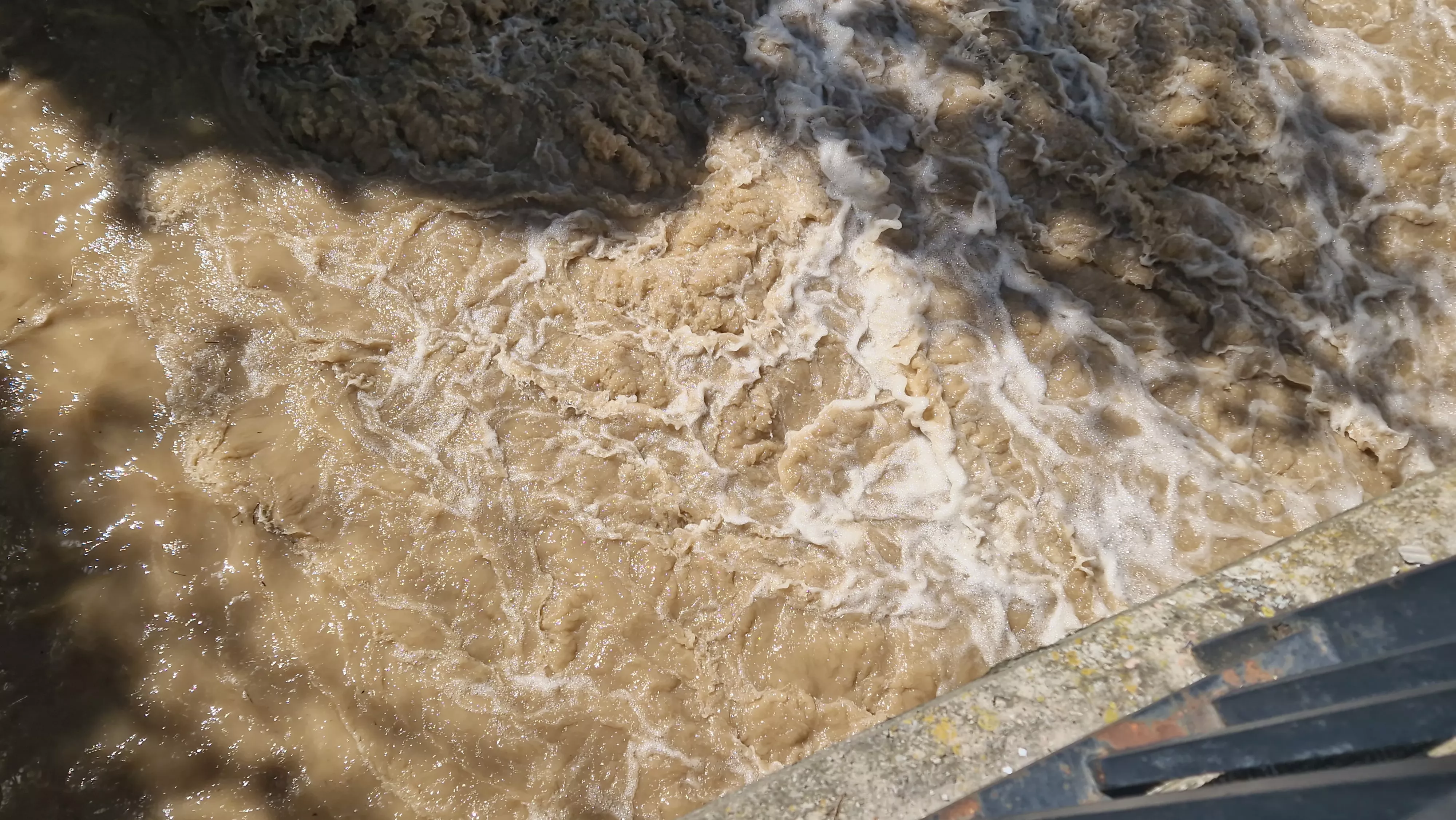 El Isuela bajaba con fuerza este sábado. Foto Myriam Martínez