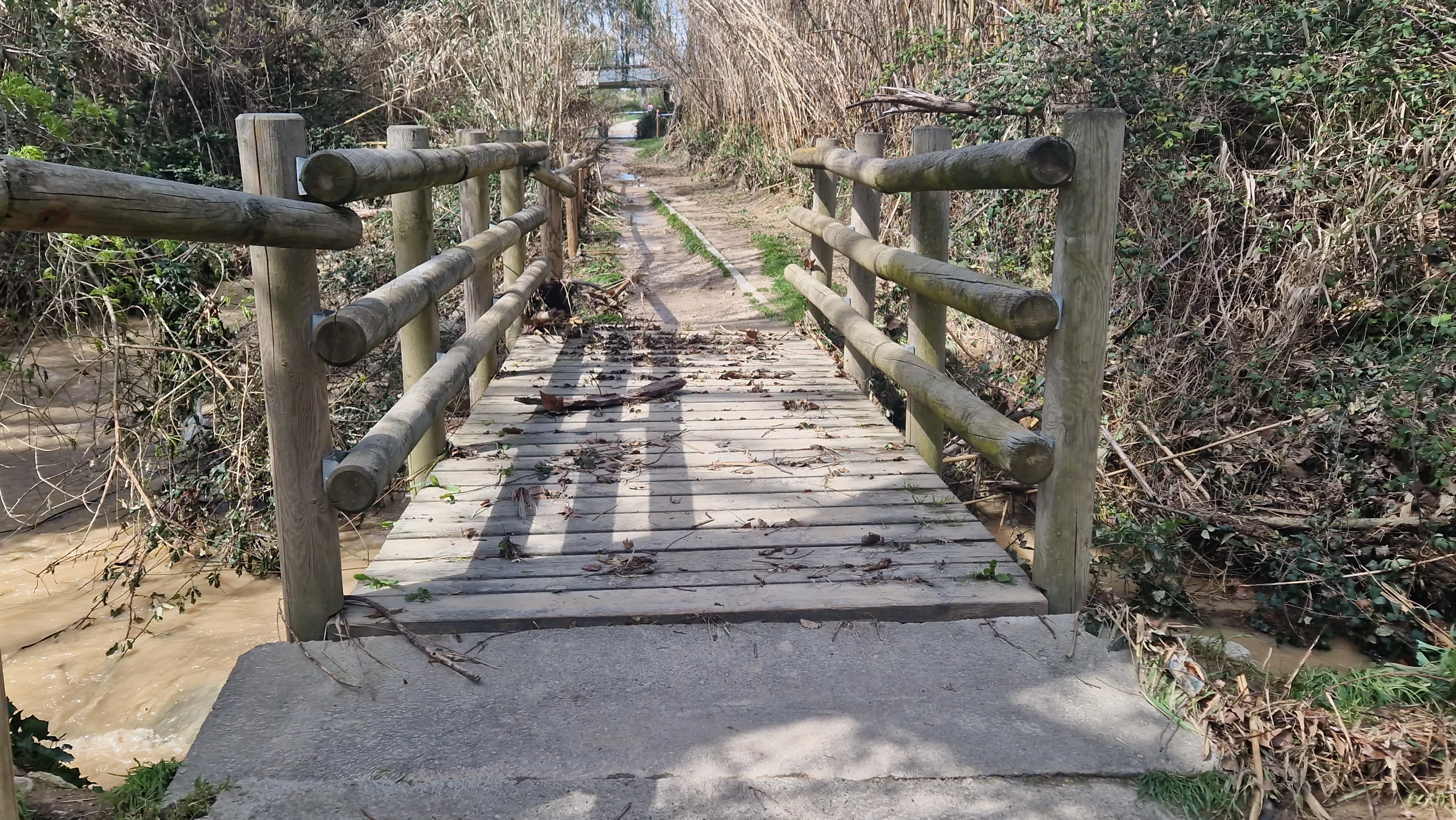 Camino hacia las Fuentes de Marcelo. Foto Myriam Martínez