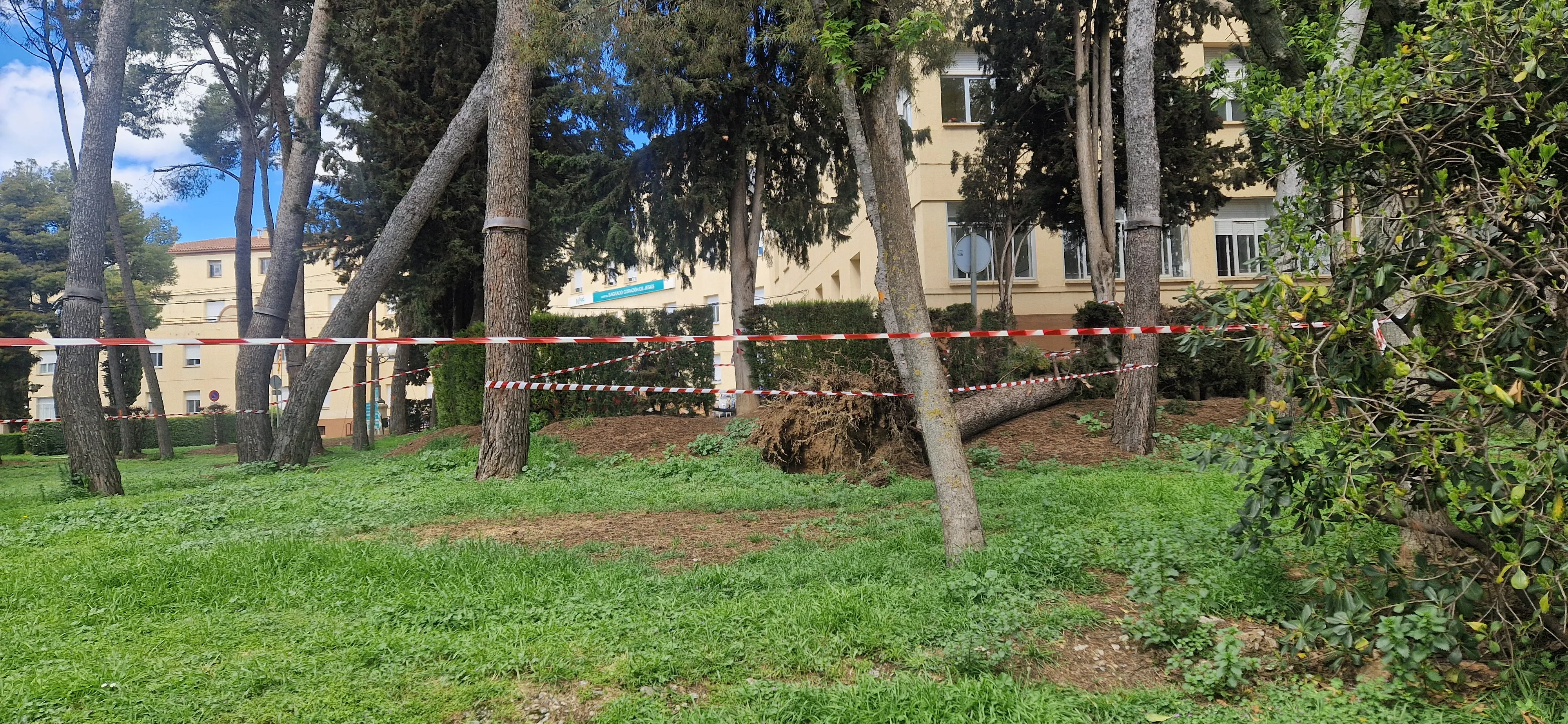 Entorno del Hospital Provincial. Foto Myriam Martínez