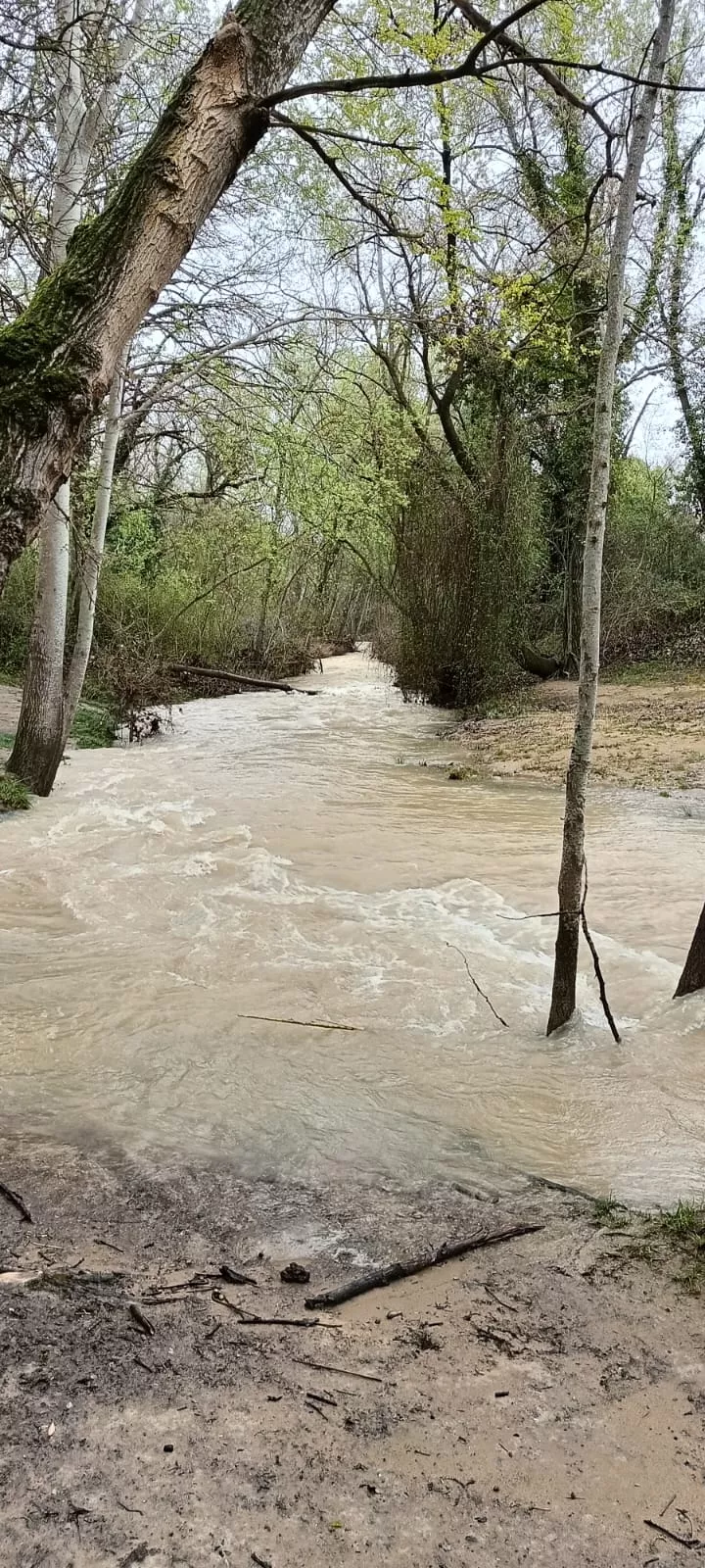 Las Fuentes de Marcelo. Foto Mariano Martínez