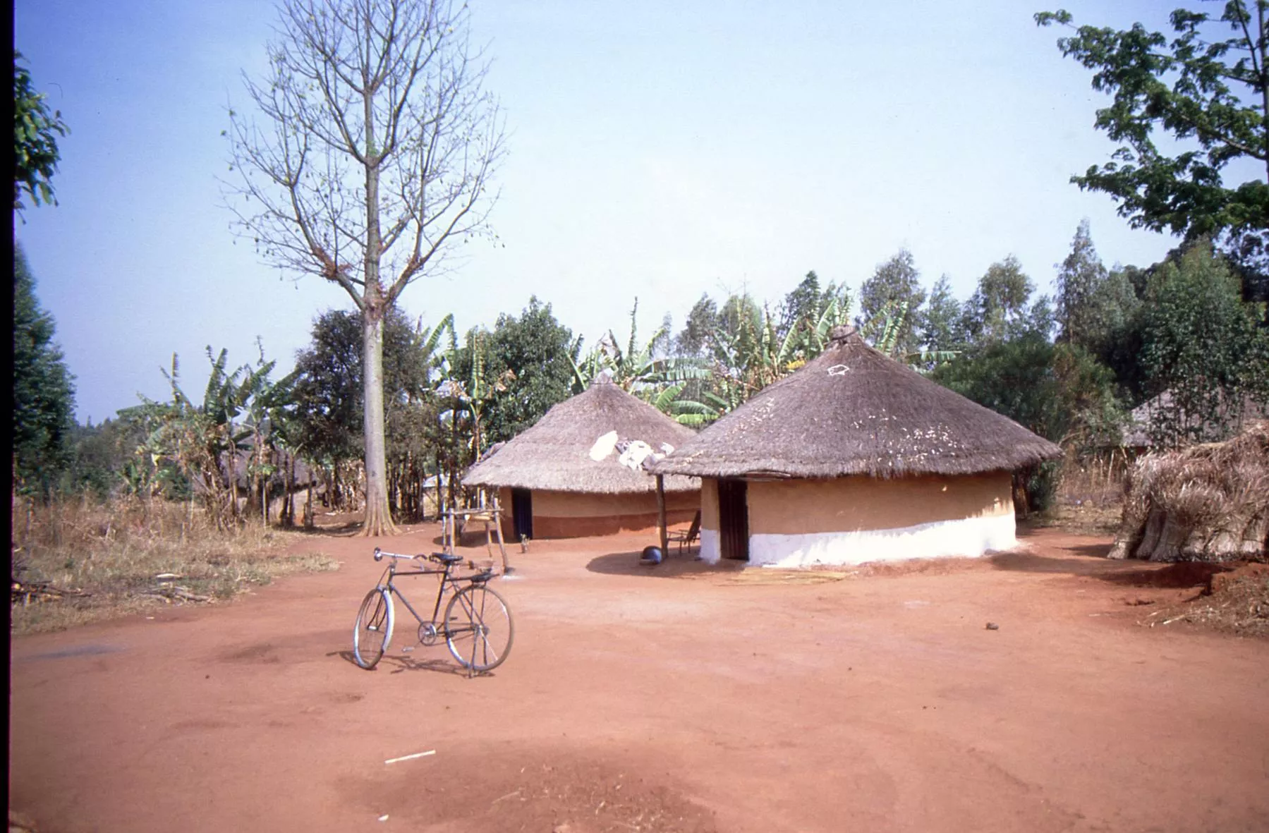 Marco Pascual en otra peripecia en el Congo