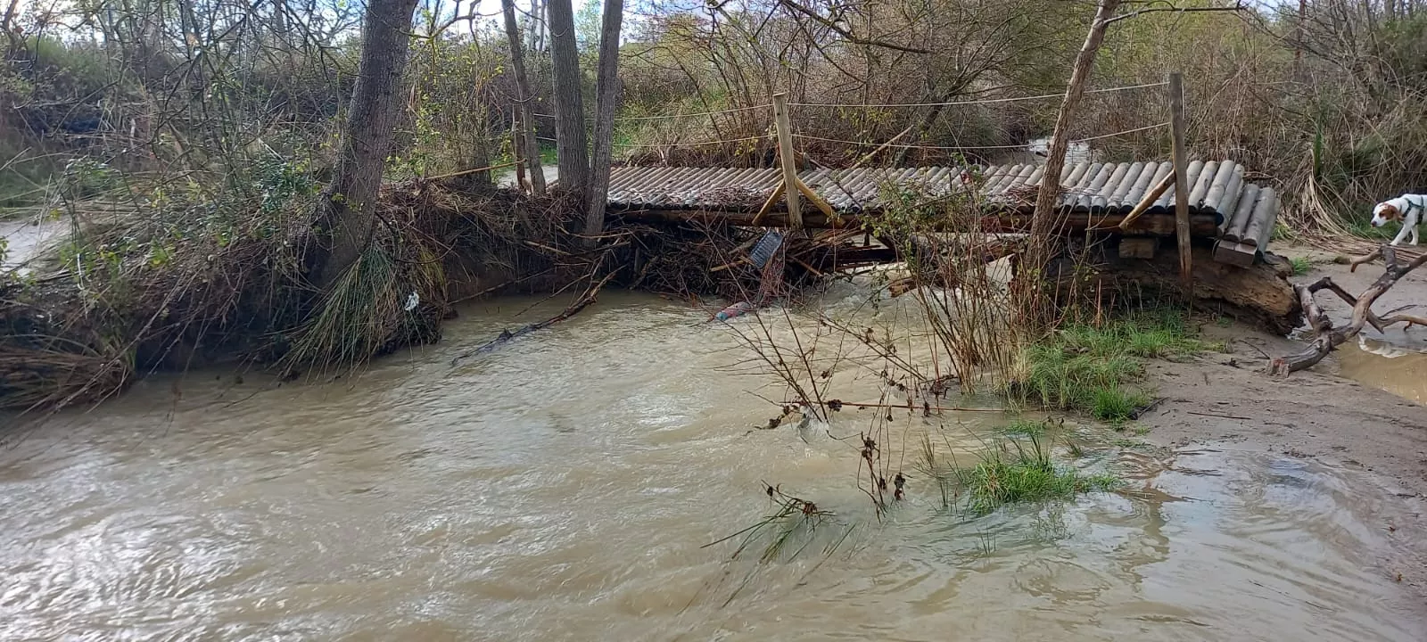 Río Isuela por las Fuentes de Marcelo. Foto Mayte Sarroca