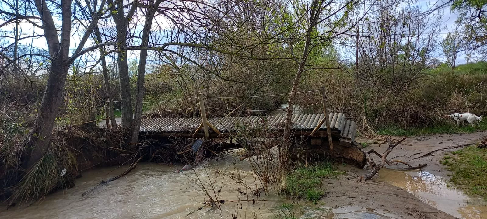 Río Isuela por las Fuentes de Marcelo. Foto Mayte Sarroca