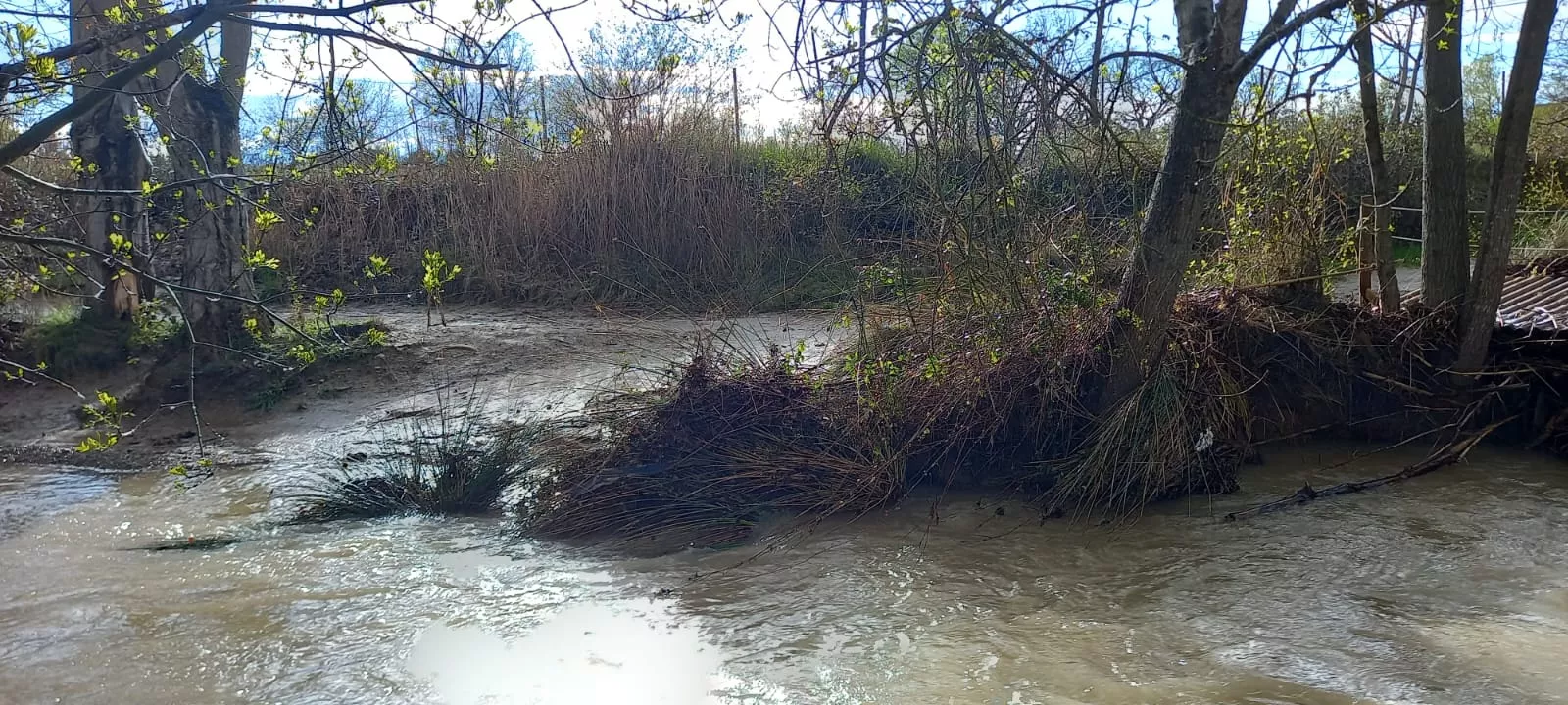 Río Isuela por las Fuentes de Marcelo. Foto Mayte Sarroca