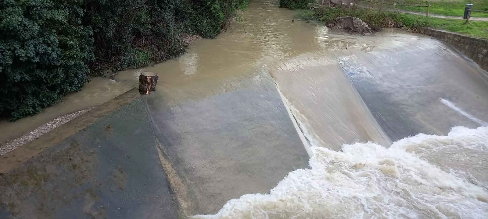 Río Isuela. Mayte Sarroca