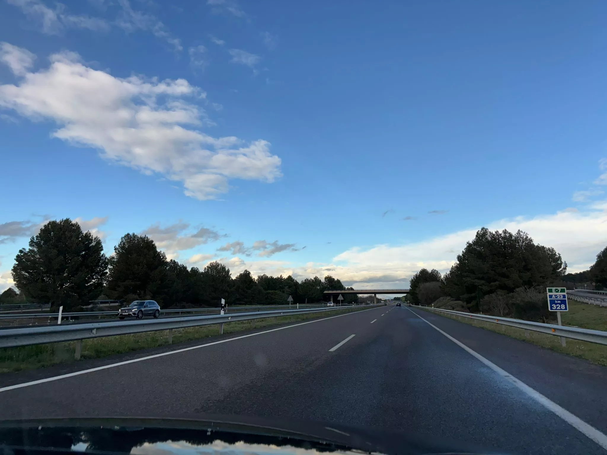 Los setos de mediana son especialmente útiles cuando anochece