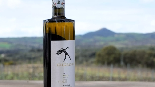 Vino Mipanas Vino Mipanas