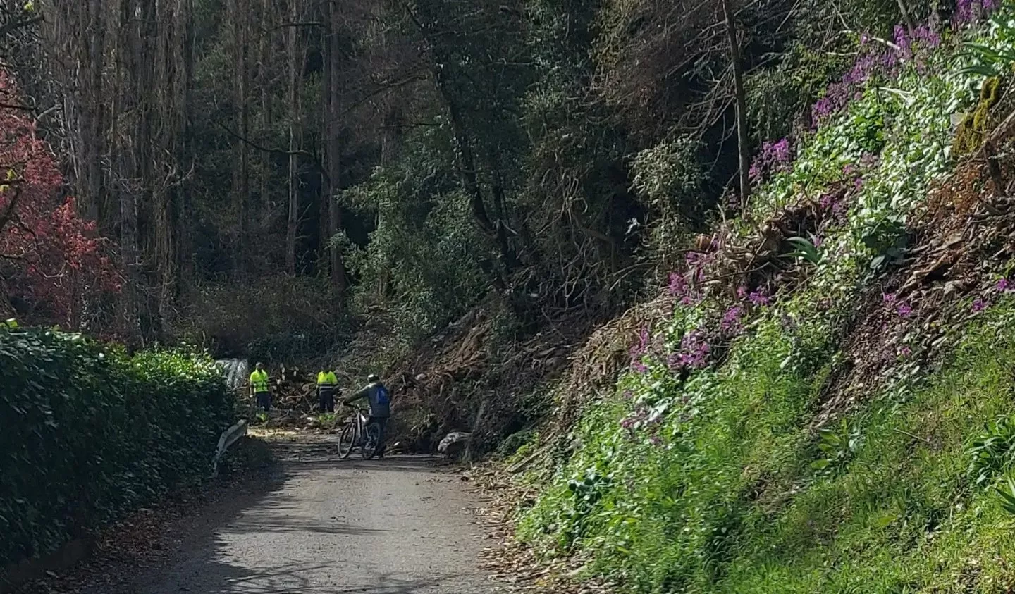 El desprendimiento de una ladera ha cortado la carretera de acceso a Arguisal.