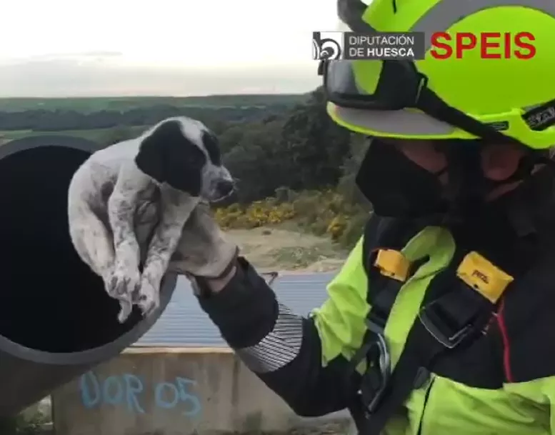 Bombero de Barbastro con uno de los cachorros rescatados.
