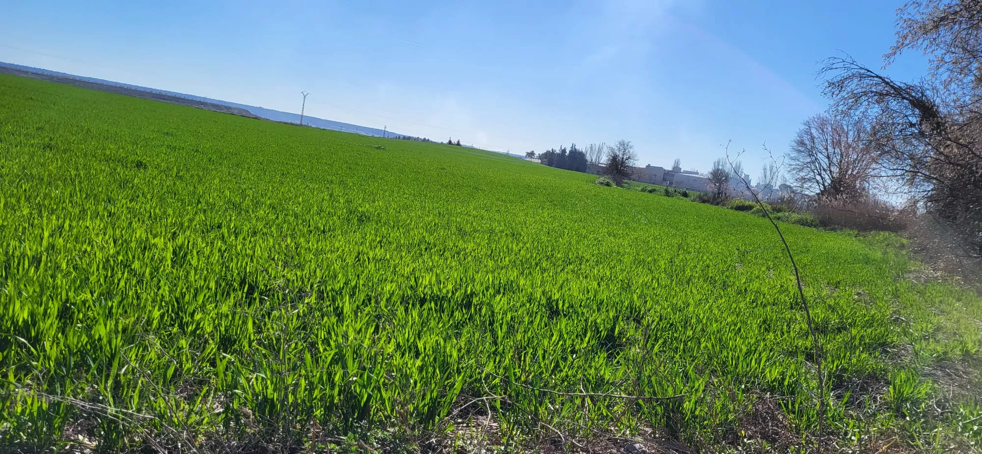Acordado el convenio para las ayudas a modernización e incorporación de jóvenes agricultores en Aragón.