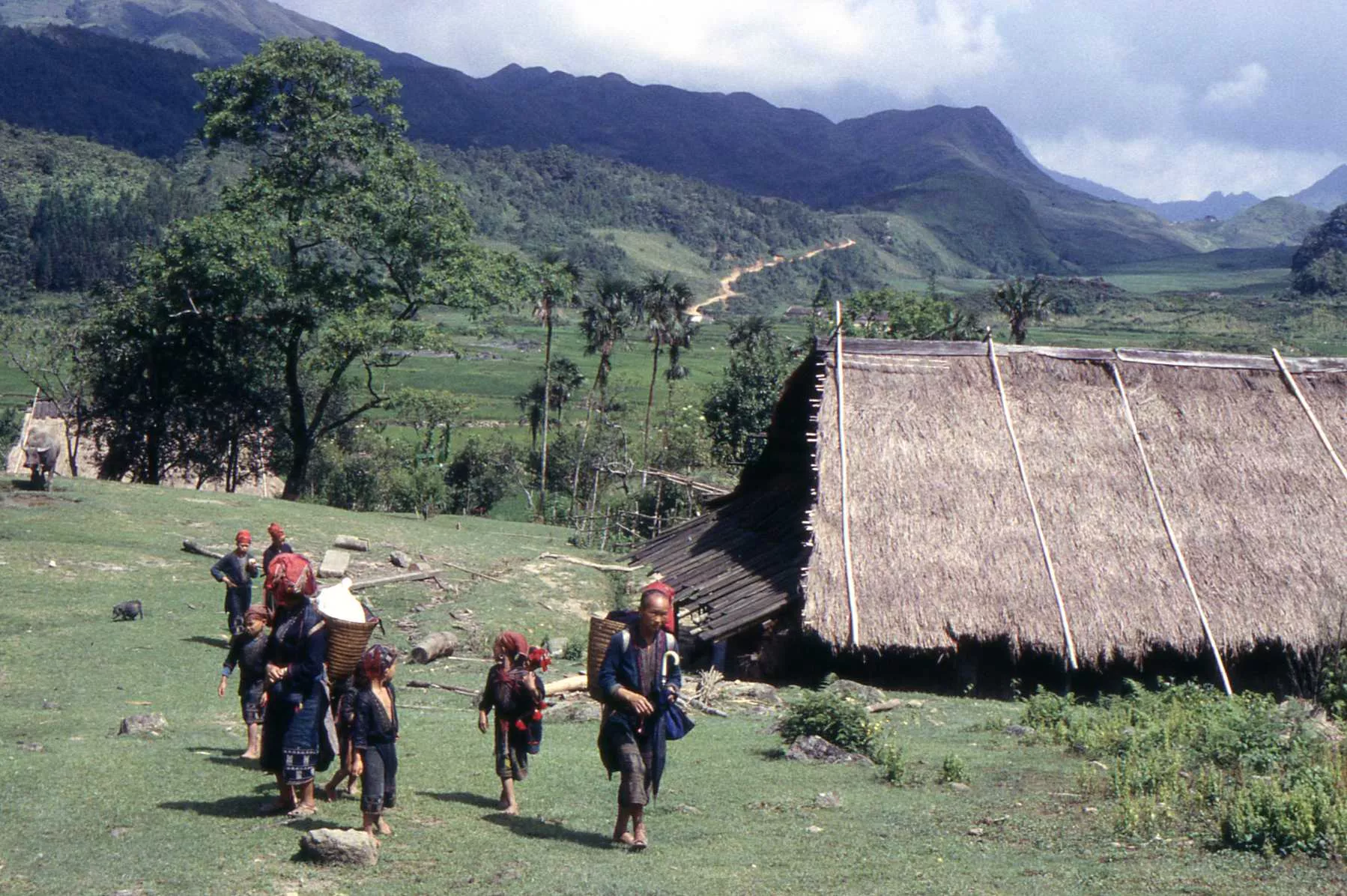 Marco Pascual en Vietnam, buscando esposa