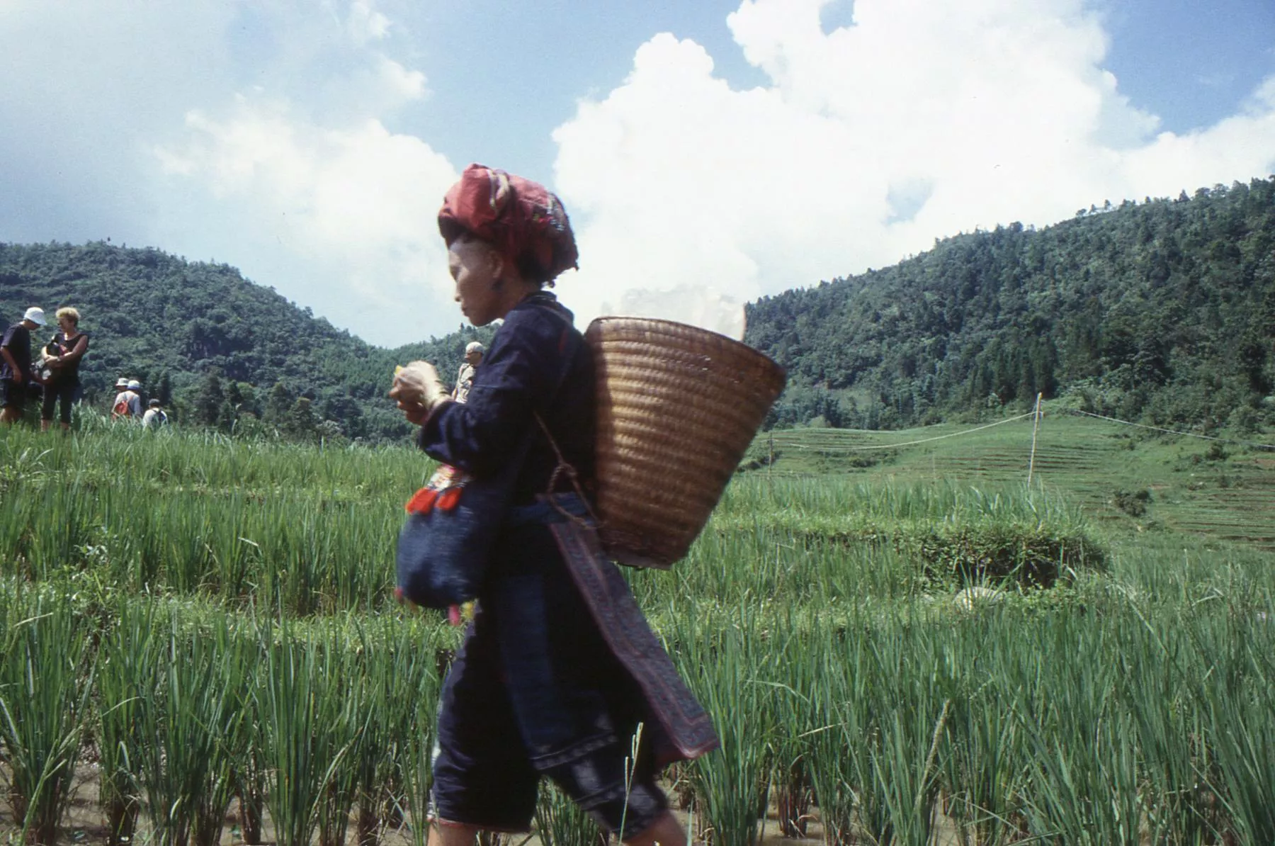 Marco Pascual en Vietnam, buscando esposa