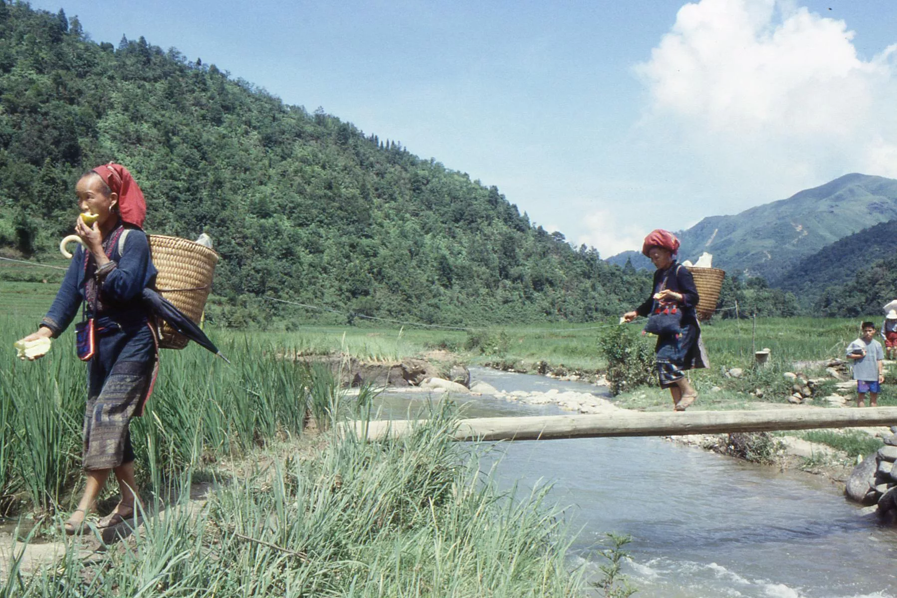 Marco Pascual en Vietnam, buscando esposa
