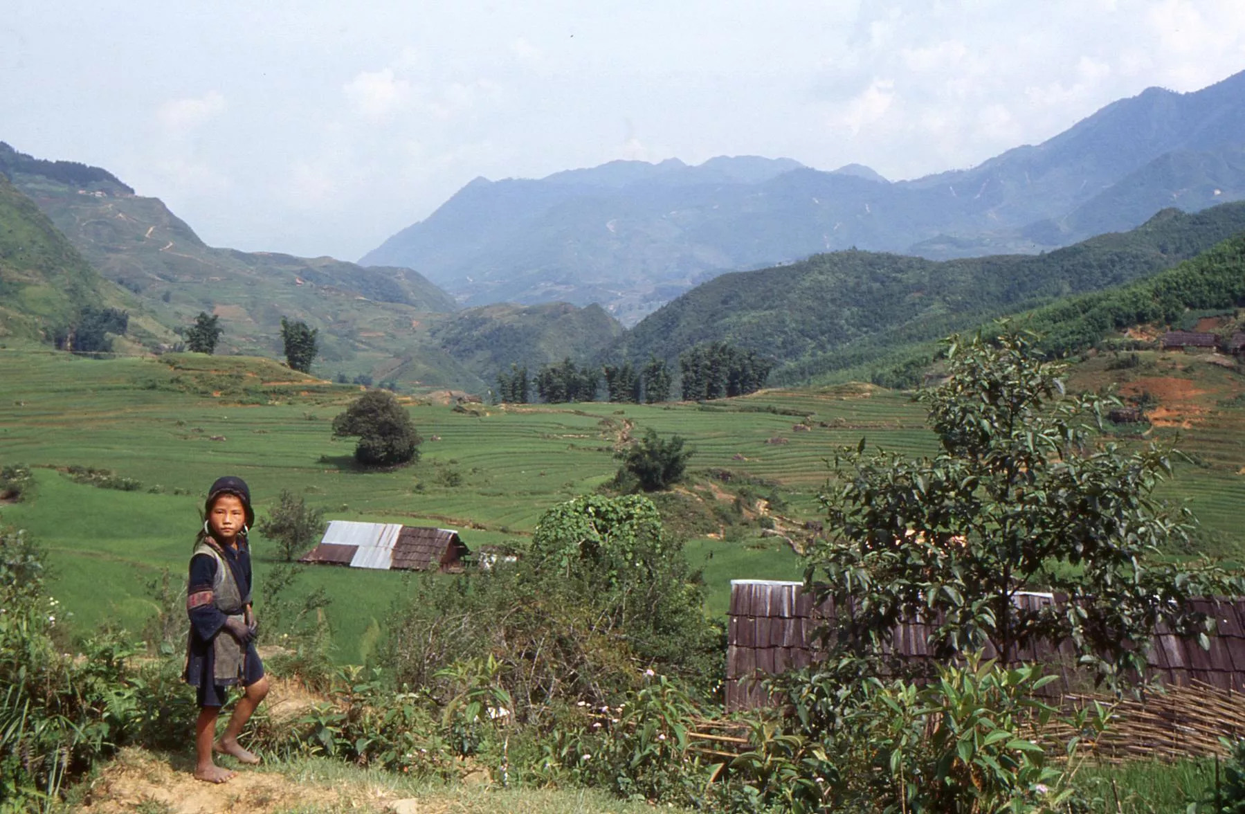 Marco Pascual en Vietnam, buscando esposa