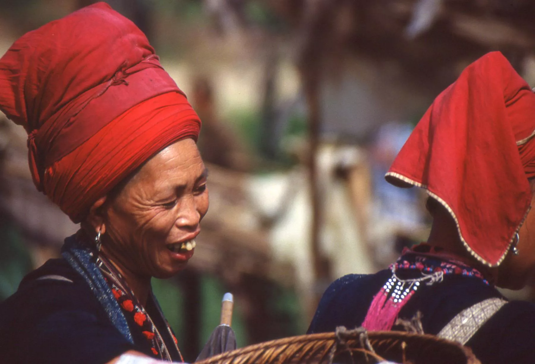 Marco Pascual en Vietnam, buscando esposa