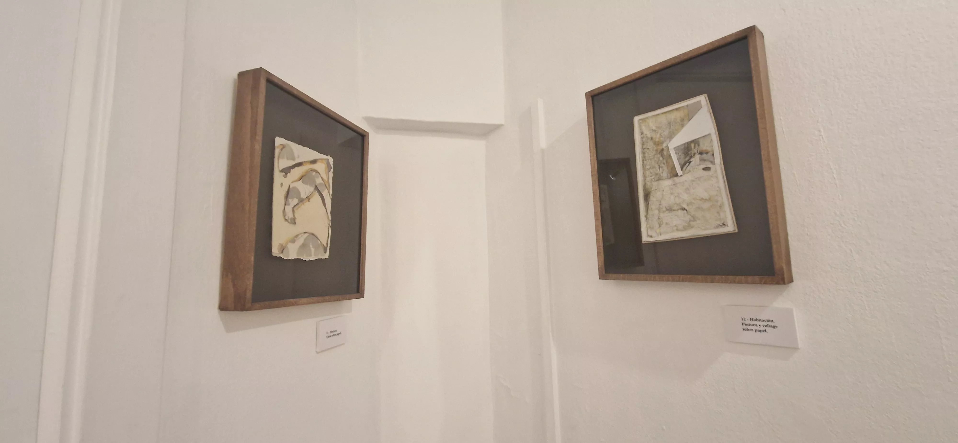 Exposición de Vicente Badenes en la librería Anónima. Foto Myriam Martínez