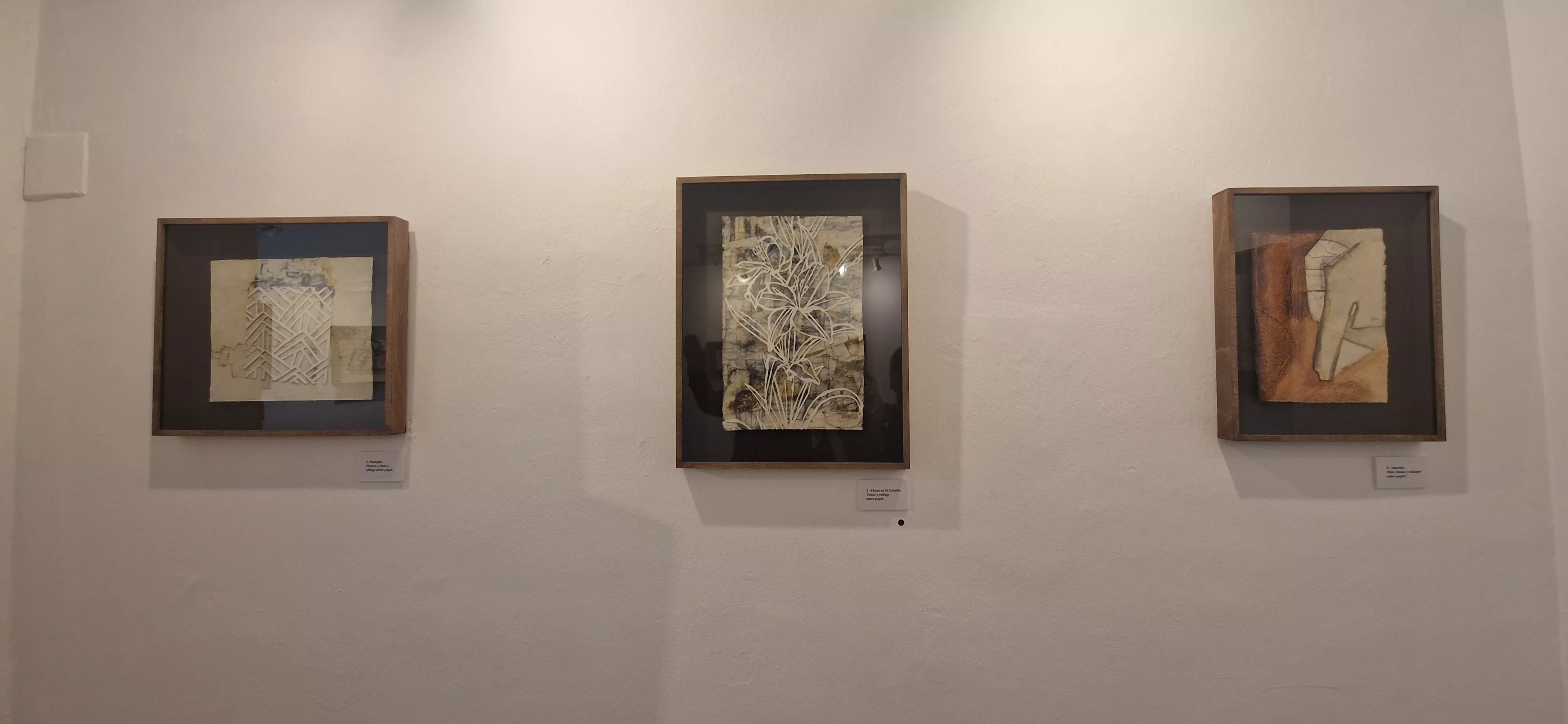 Exposición de Vicente Badenes en la librería Anónima. Foto Myriam Martínez