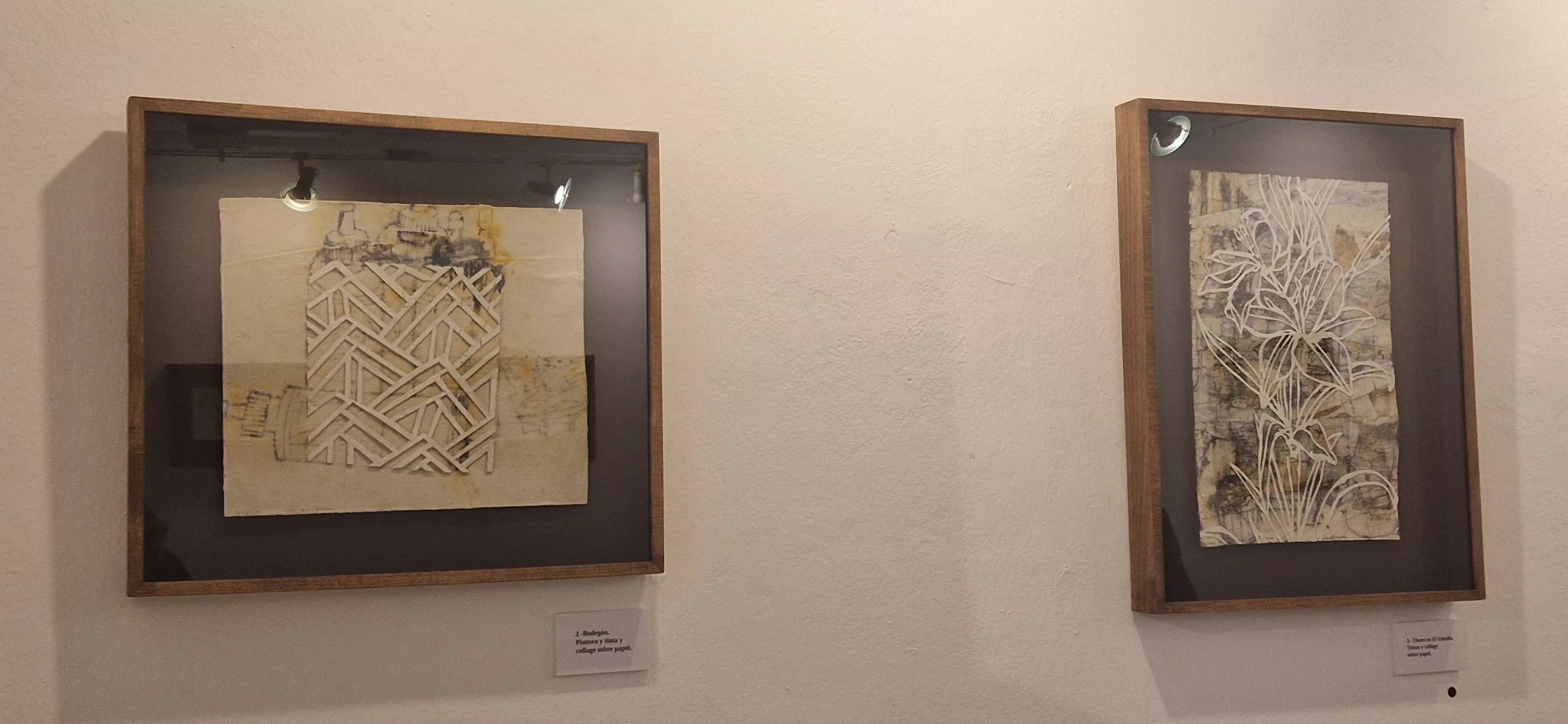 Exposición de Vicente Badenes en la librería Anónima. Foto Myriam Martínez