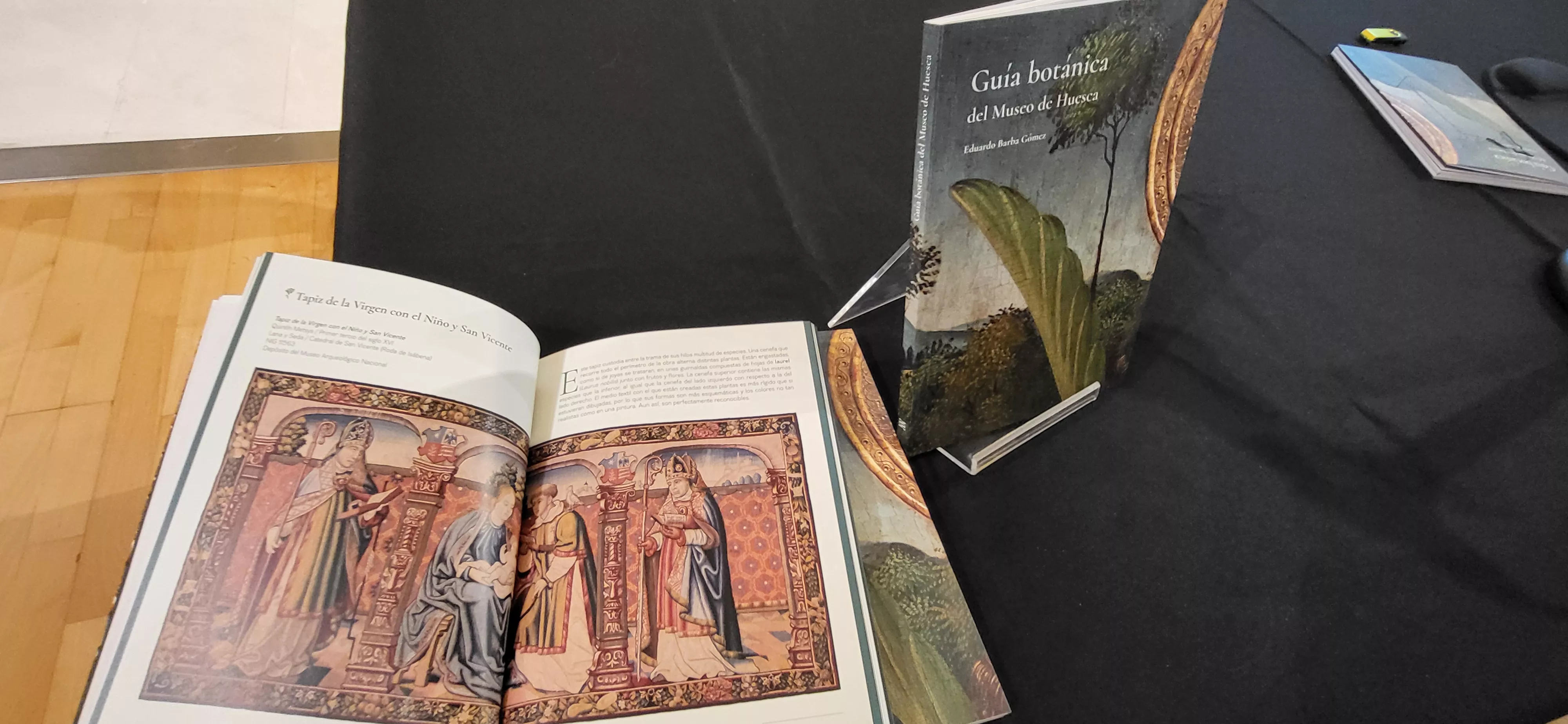 Presentación de la Guía botánica del Museo de Huesca. Foto Mercedes Manterola