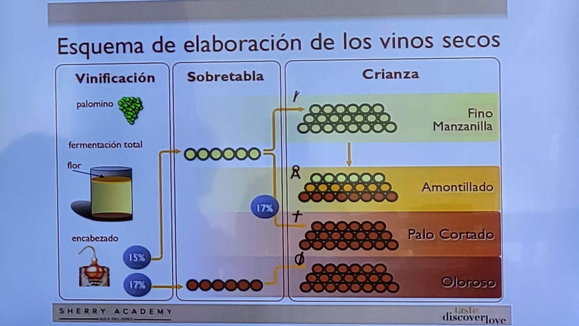 Cata de vinos de González Byass en el Espacio Altoaragón
