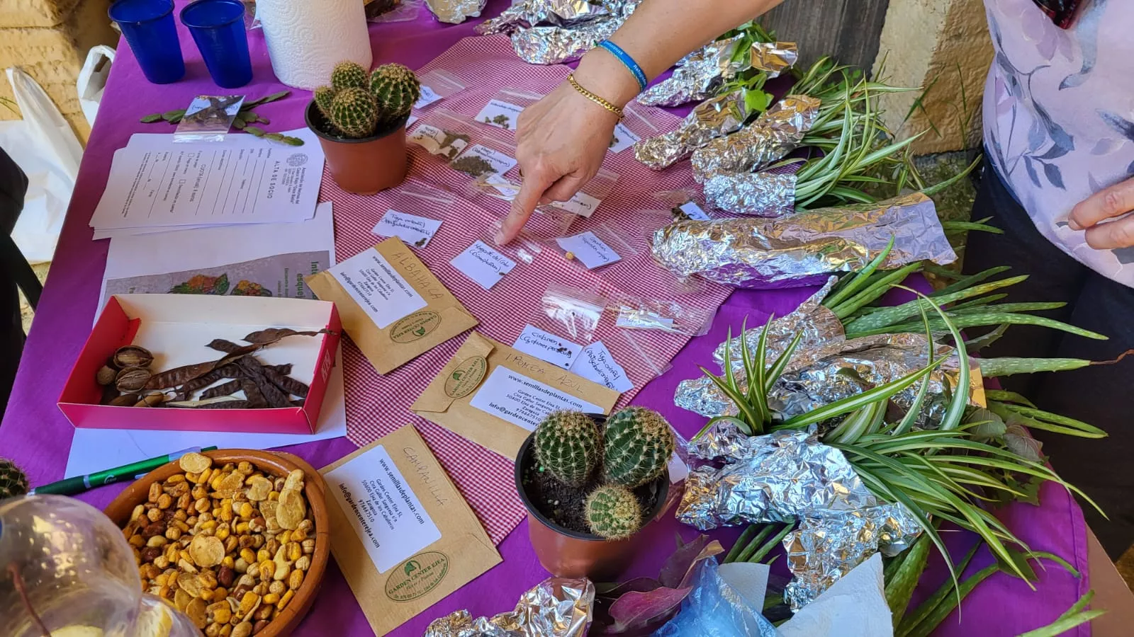 Intercambio de semillas, esquejes y plantas en La Malena