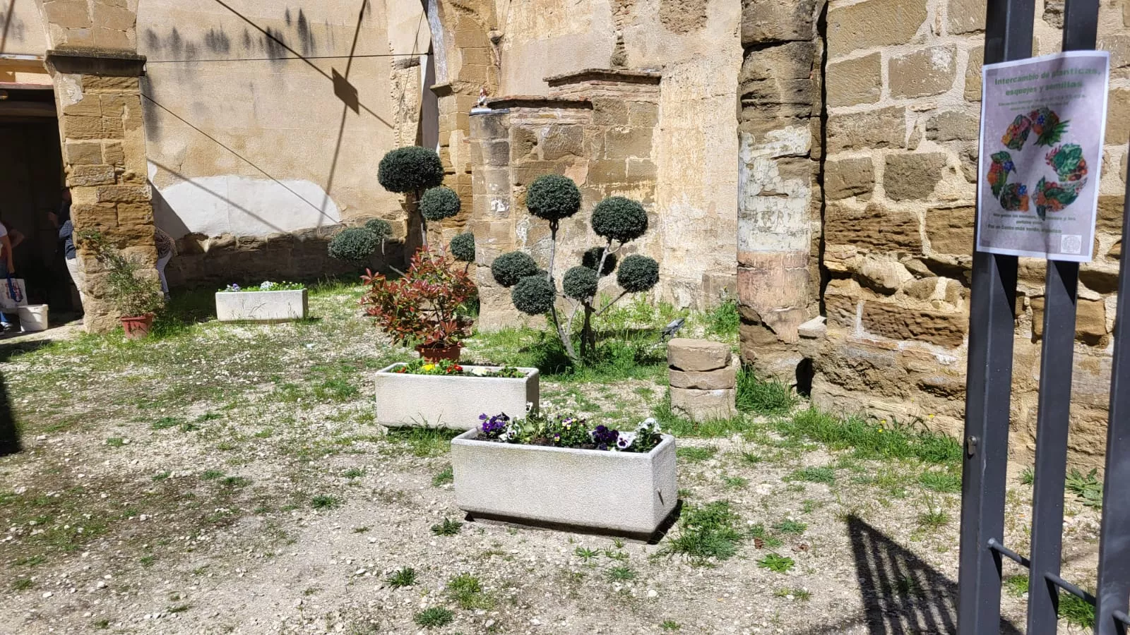 Intercambio de semillas, esquejes y plantas en La Malena