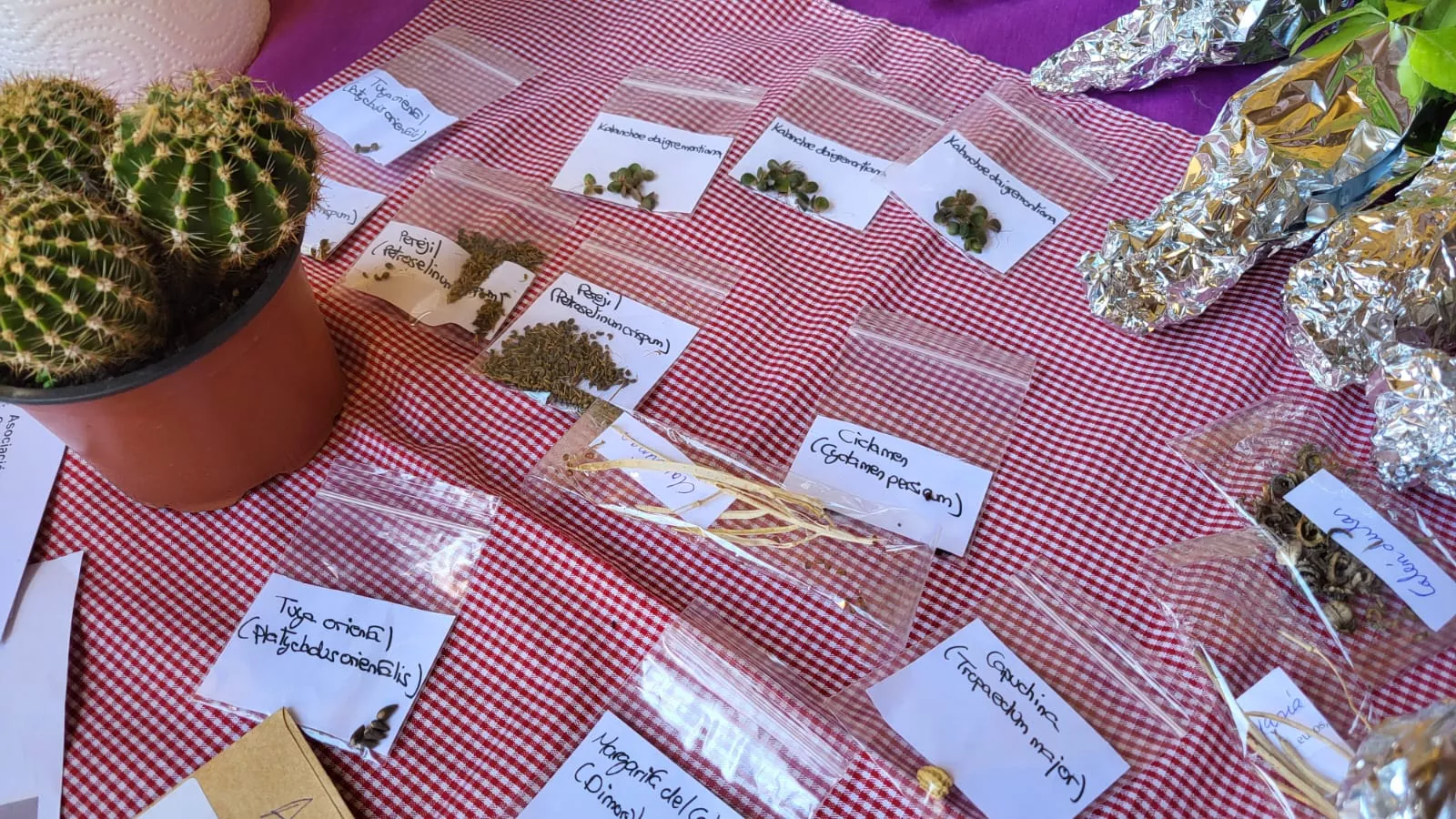 Intercambio de semillas, esquejes y plantas en La Malena