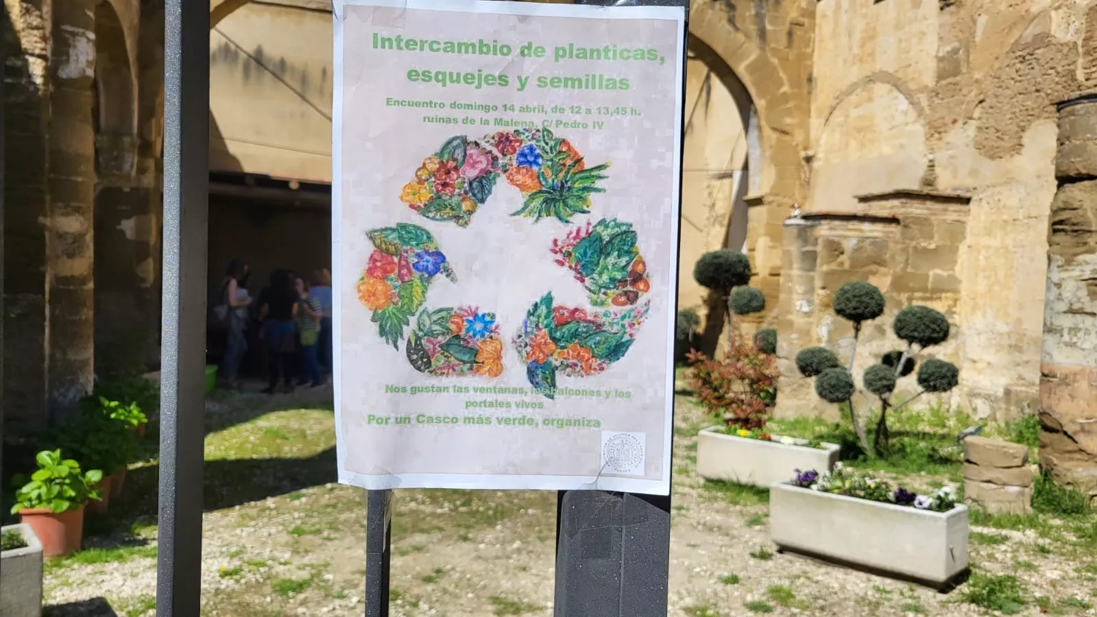 Intercambio de semillas, esquejes y plantas en La Malena