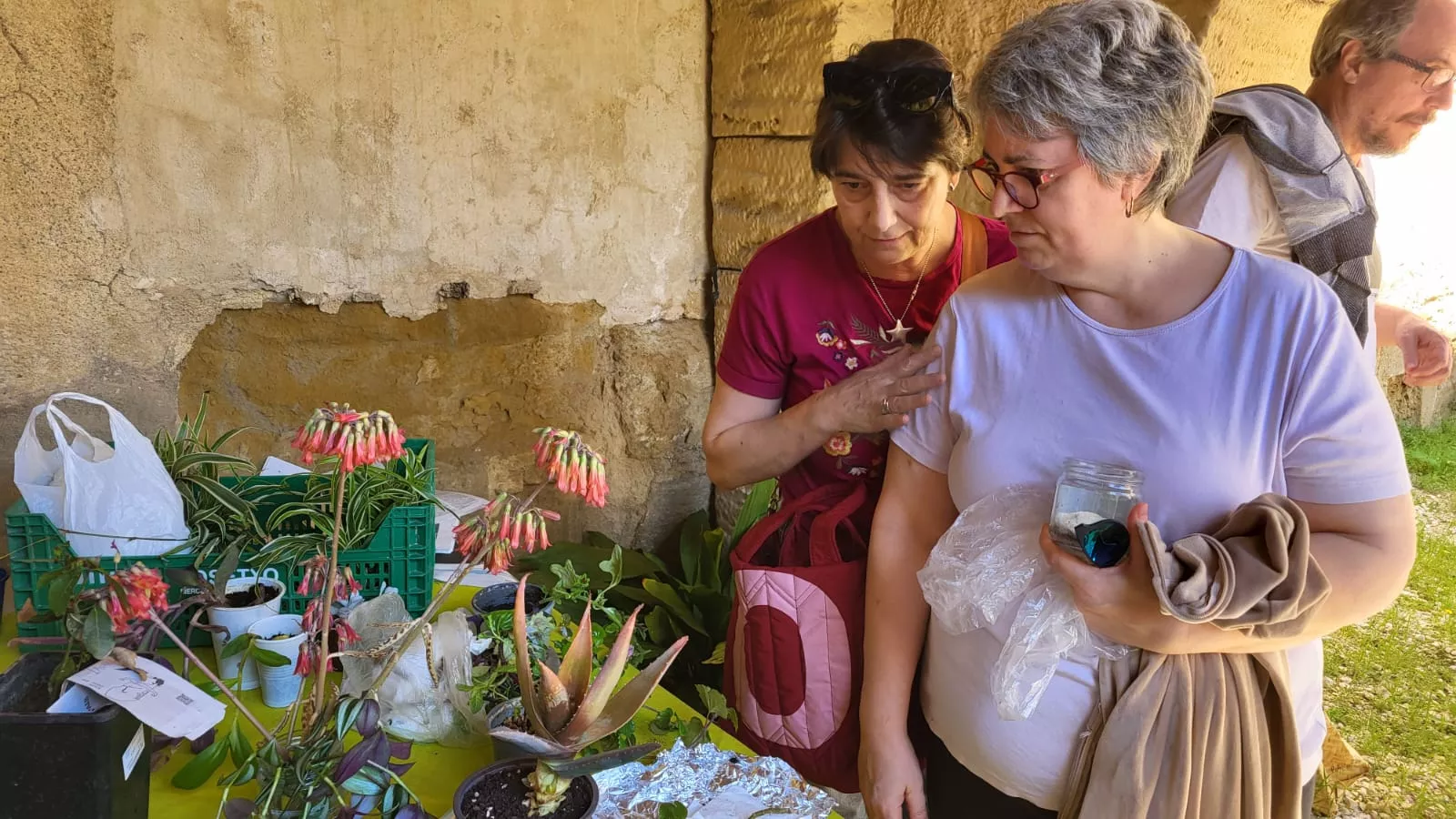 Intercambio de semillas, esquejes y plantas en La Malena