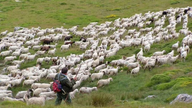El equilibrio del ecosistema, fundamental en el proyecto Bio For Pir