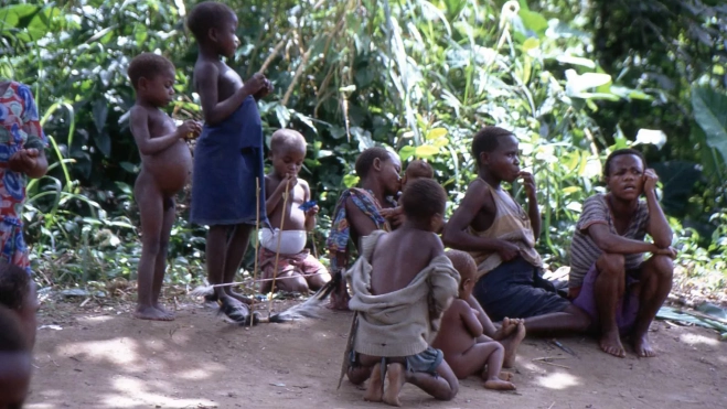 Pigmeos en la selva Pigmeos en la selva