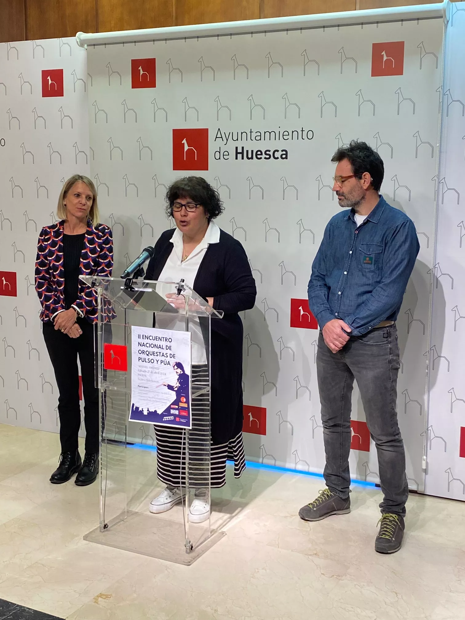 Encuentro Orquestas Pulso y Púa.