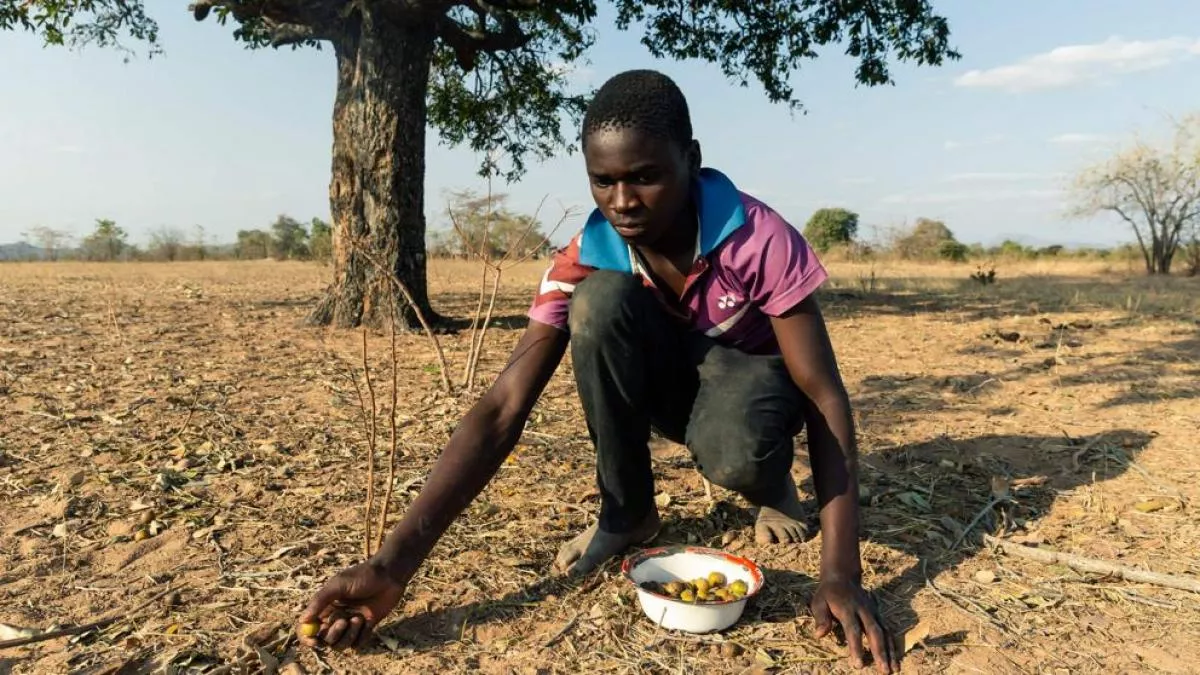 El 80% de las personas más pobres viven en zonas rurales. 