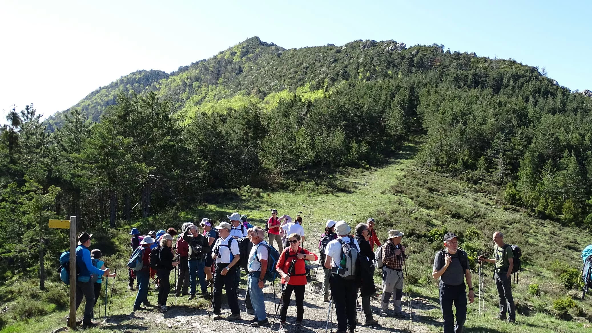 En la collada Foria. Foto Alfredo Zazo