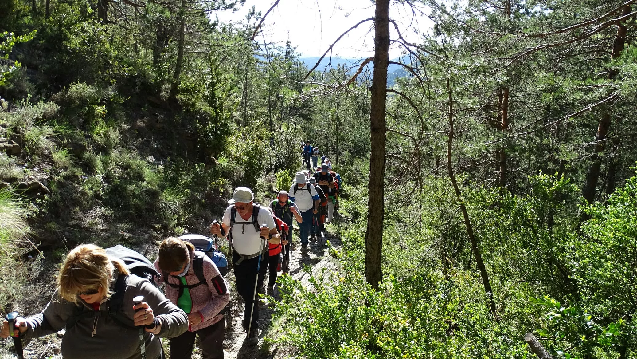Por la senda. Foto Alfredo Zazo
