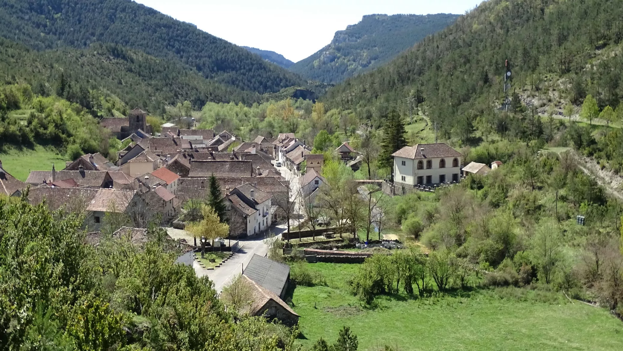 Fago. Foto Alfredo Zazo