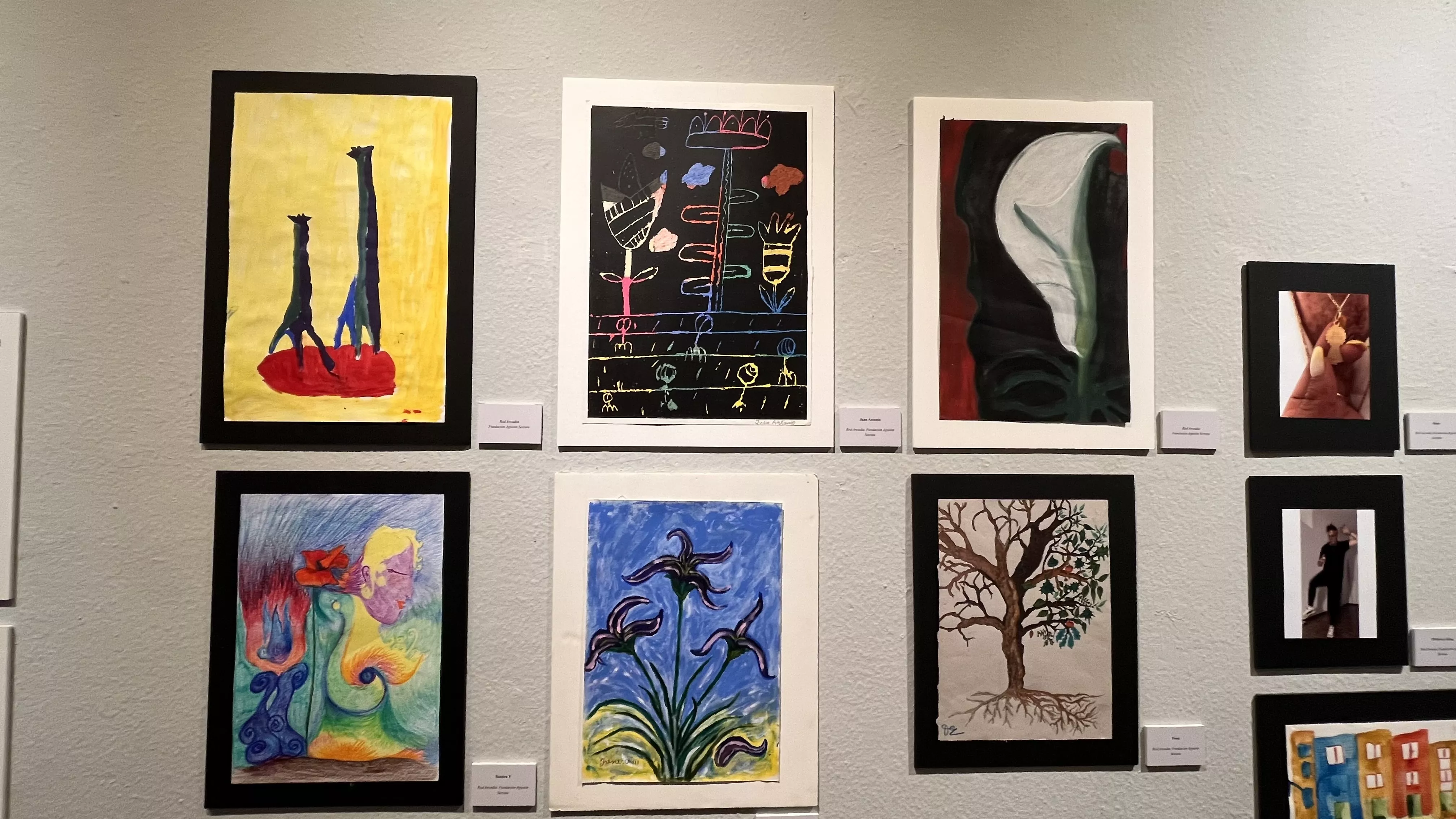 Inauguración de la exposición de las obras presentadas a Diversario 2024. Foto Mercedes Manterola