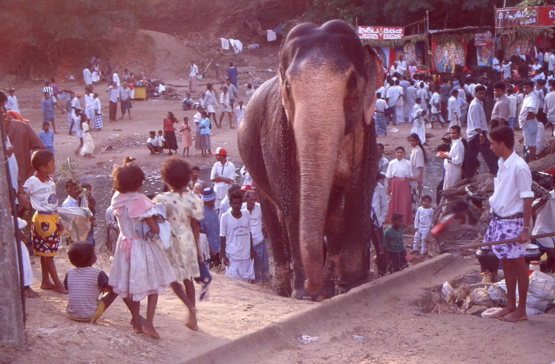 Marco Pascual en Sri Lanka