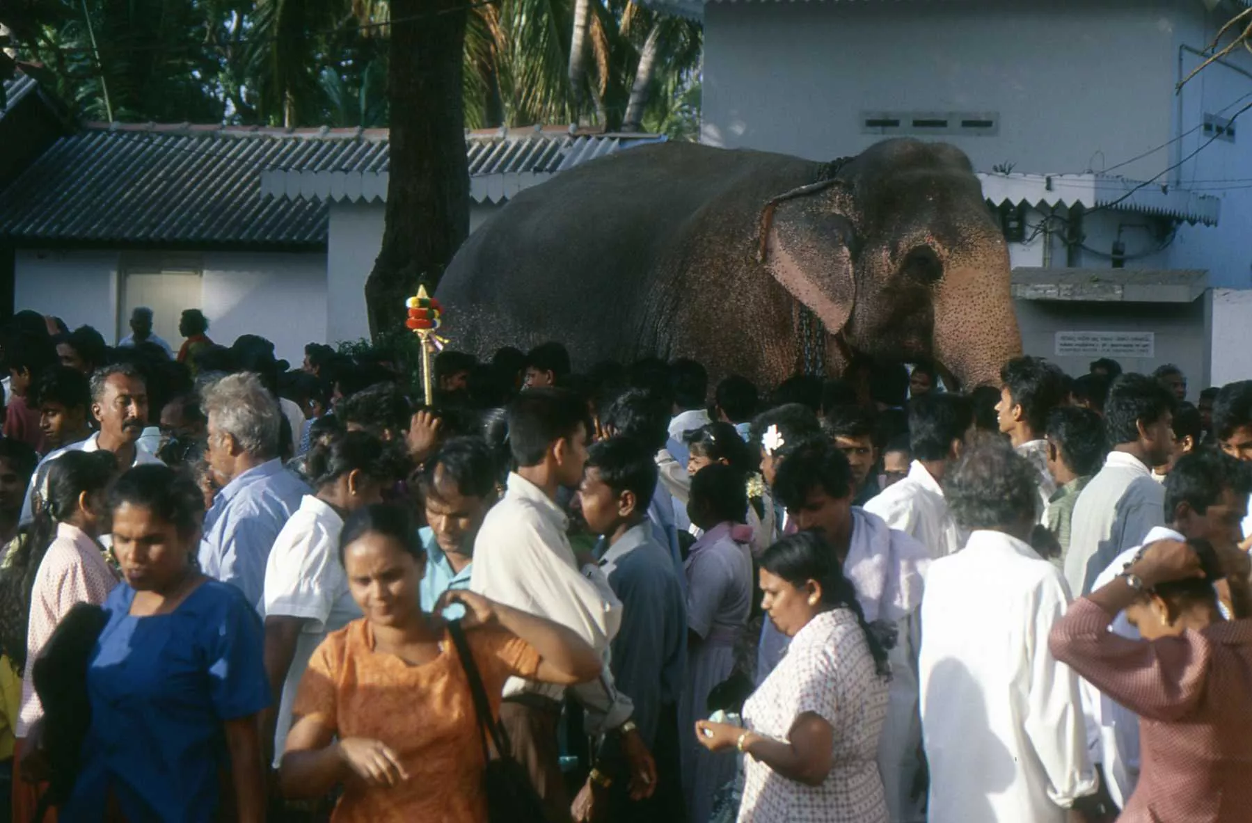 Marco Pascual en Sri Lanka