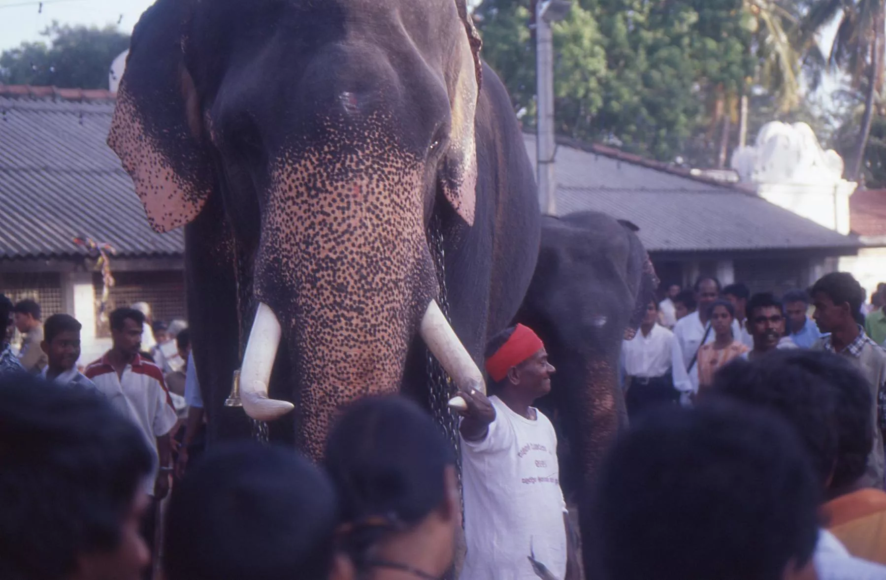 Marco Pascual en Sri Lanka