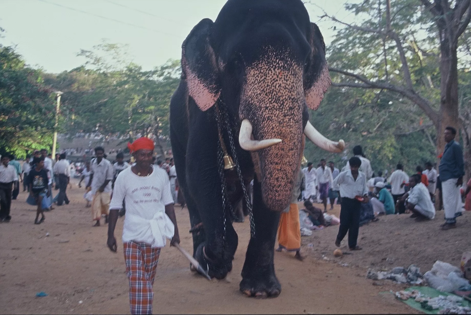 Marco Pascual en Sri Lanka