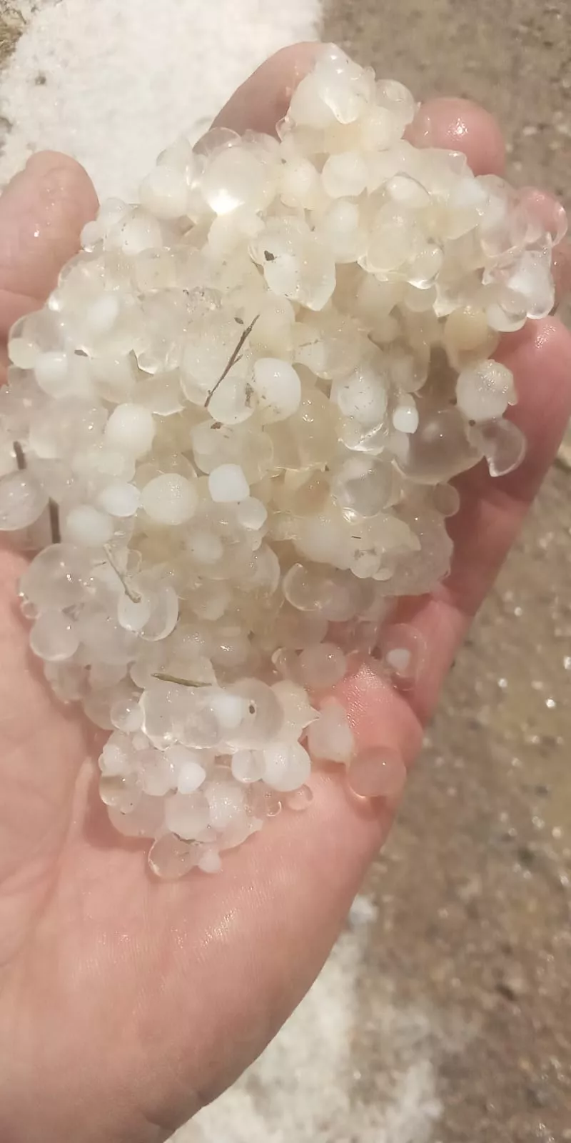 Granizo registrado en Los Monegros.