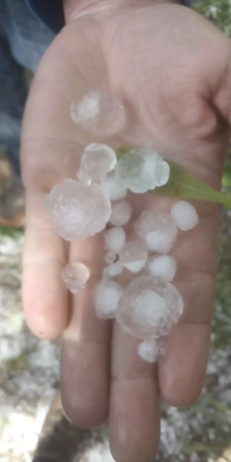 Granizo registrado en Los Monegros.