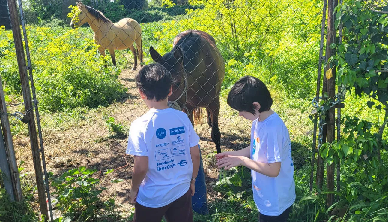 12 Marcha Aspace Huesca. Foto Mercedes Manterola.