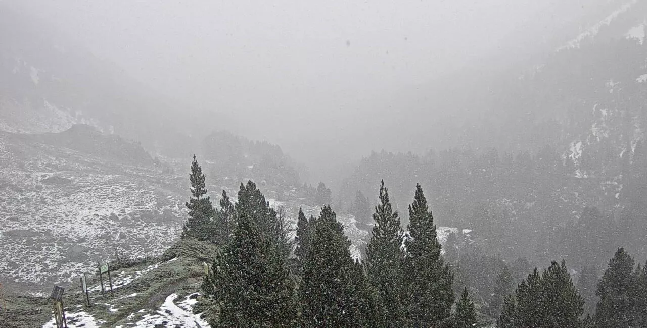 Imágen de la webcam en el refugio de Estos.