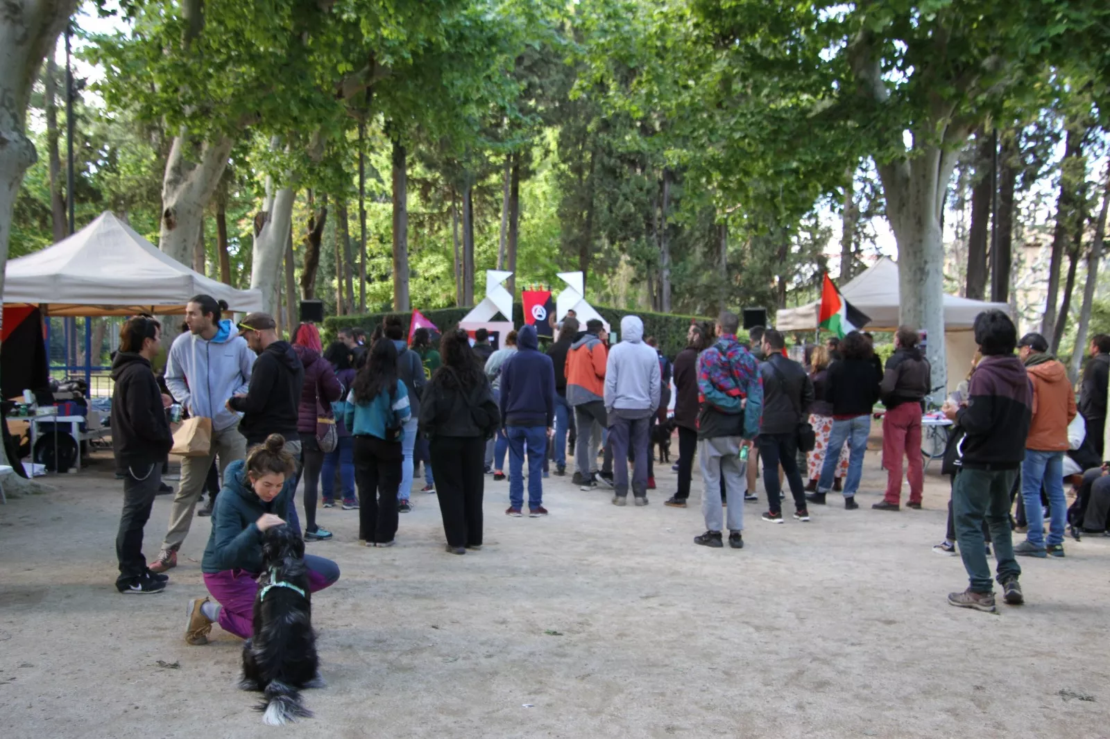 Concierto por la tarde. Foto Carlos Neofato