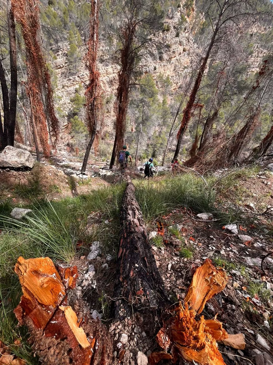 El Observatorio de la Montaña recomienda planificar las actividades.