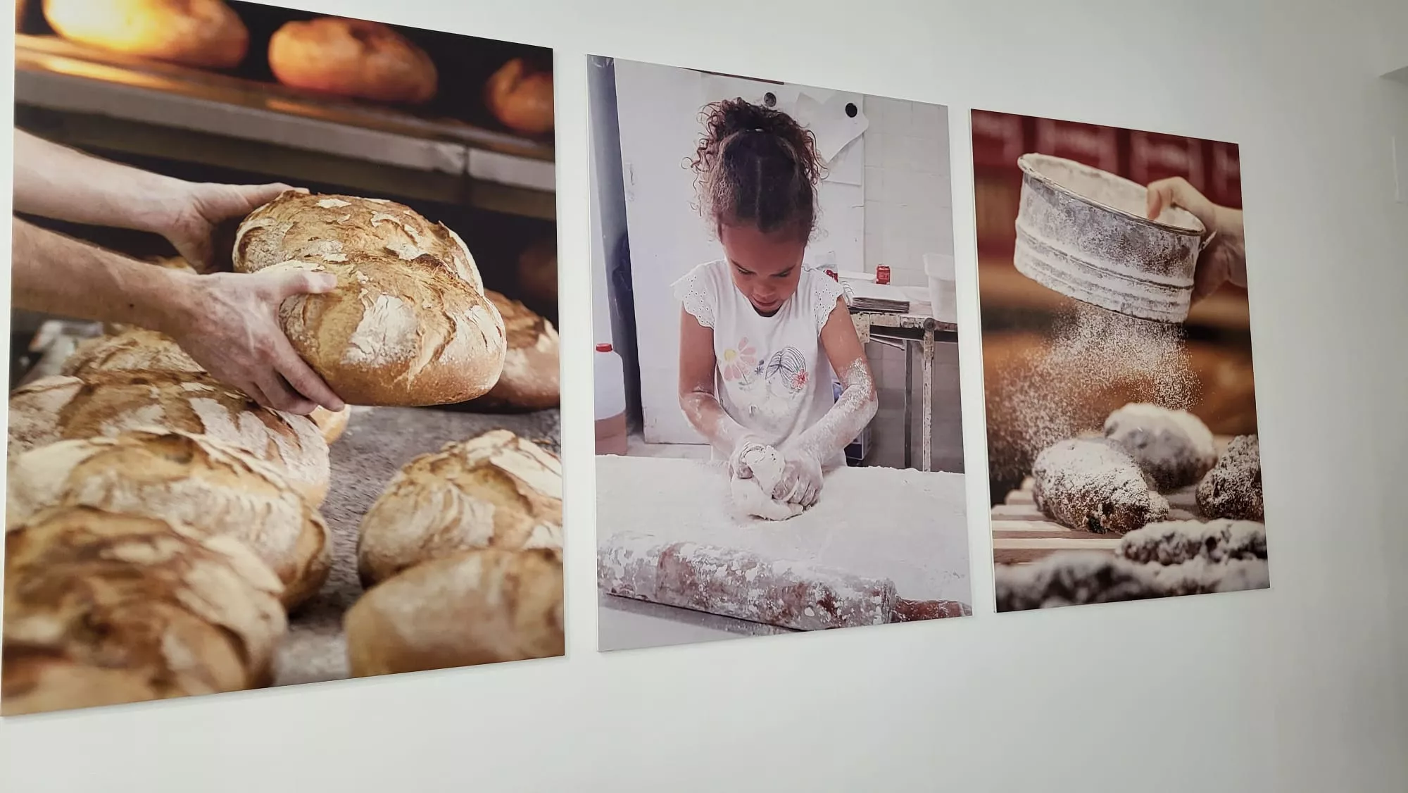 Obrador de Álex en Huesca