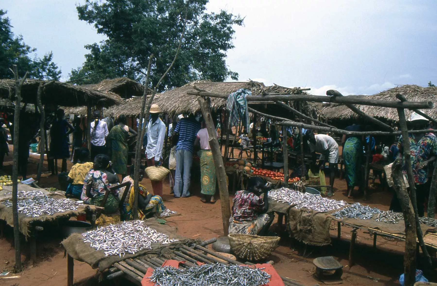 Marco Pascual en el lago Tanganica